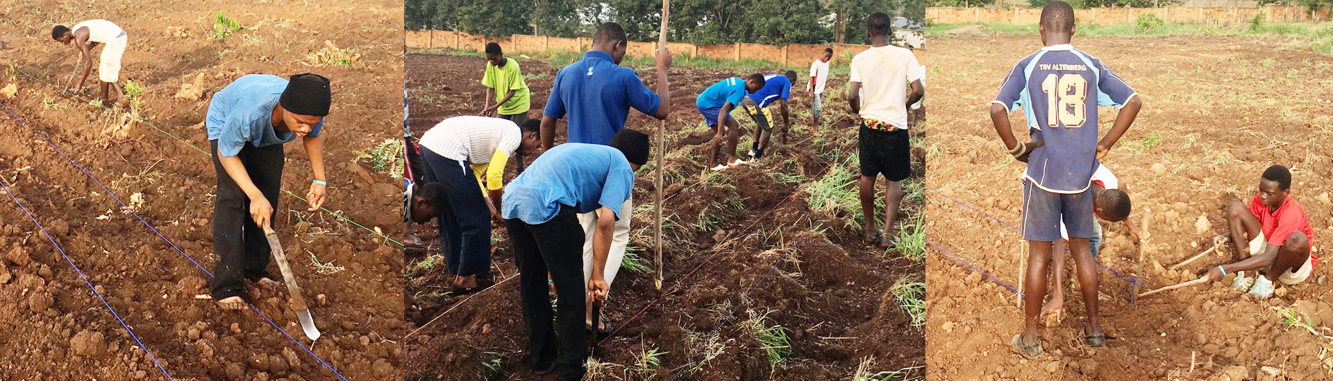 Agricultura sostenible en Ghana