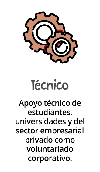 Técnico