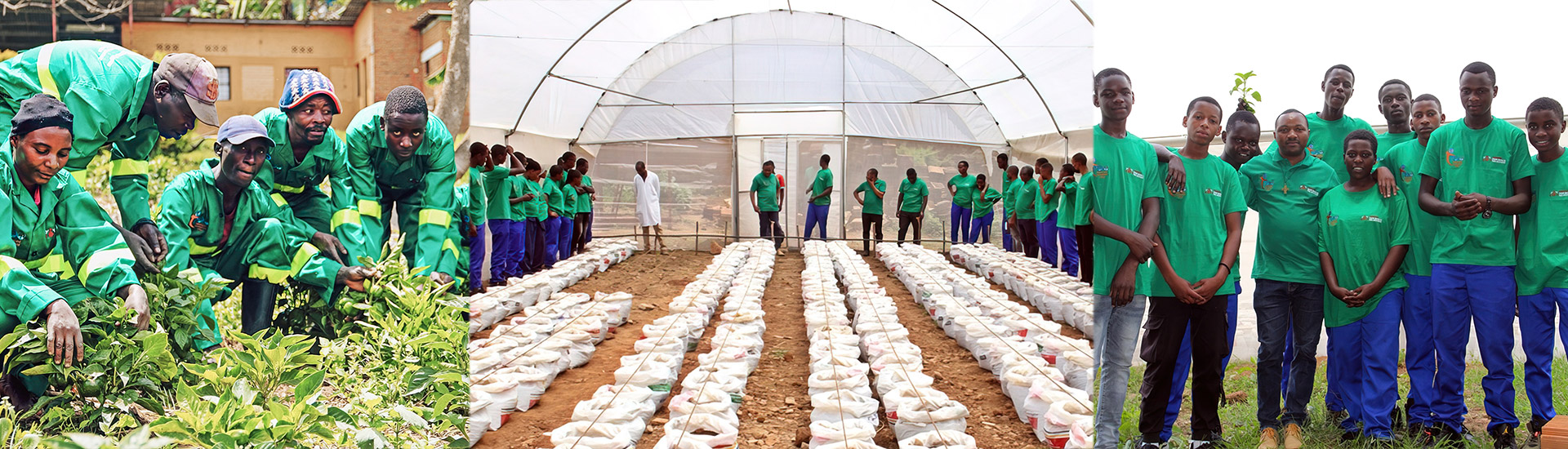 Proyecto de formación profesional para formar a los jóvenes en agricultura ecológica y sostenible en Gatenga (Ruanda)
