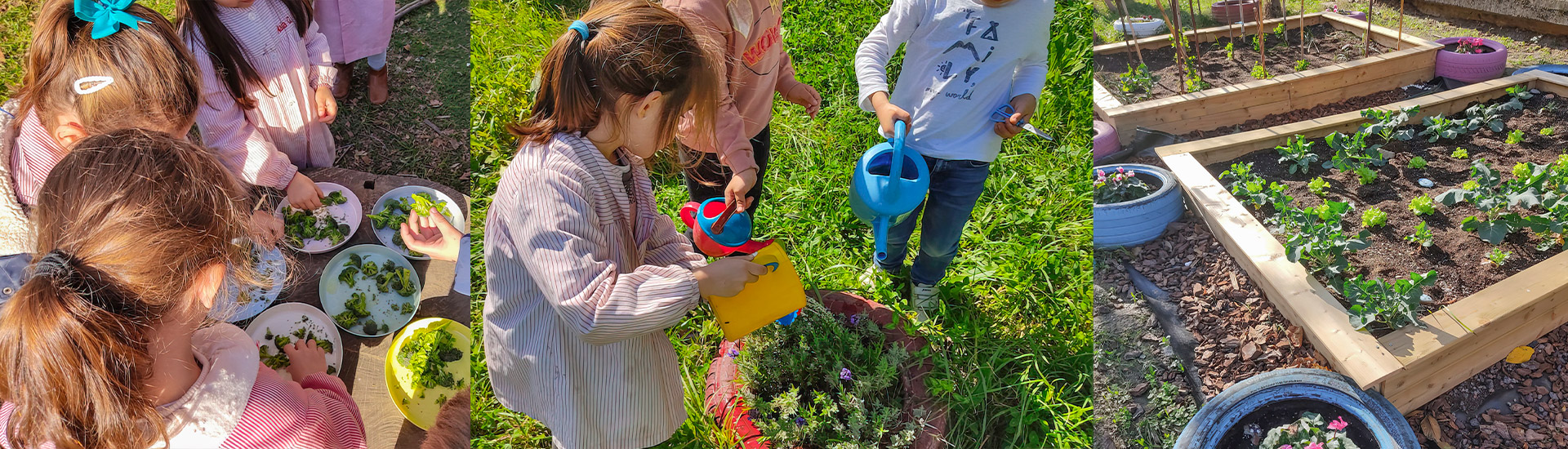 Aprendizaje y sensibilización medioambiental en Salesianos Deusto (Bilbao) gracias al ‘Baso Eskola’