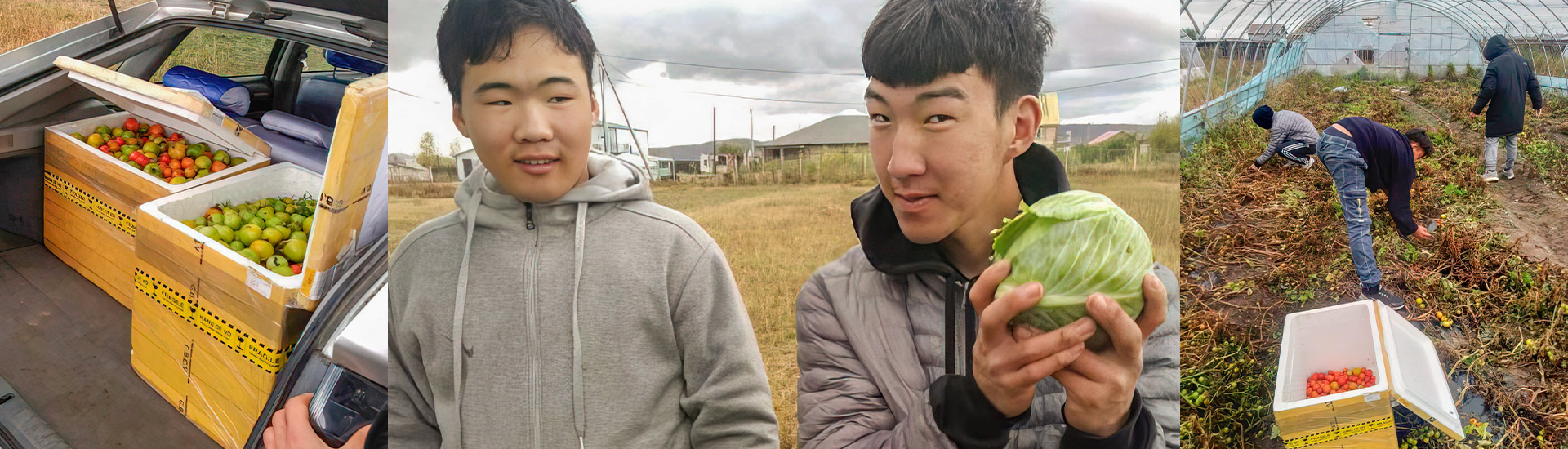 Huerto sostenible para alimentar a los menores del Centro Don Bosco de Ulán Bator