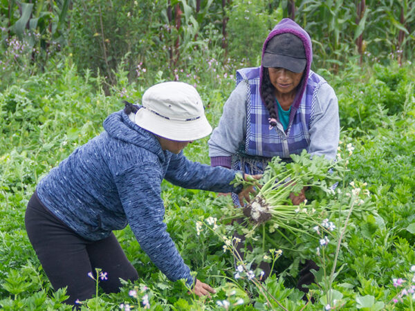 Autonomía económica para mujeres en Ambato gracias a la capacitación técnica (Ecuador)