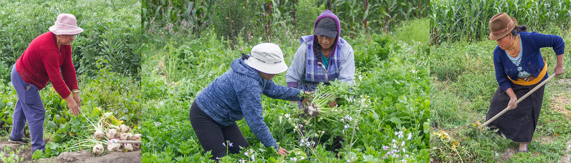 Autonomía económica para mujeres en Ambato gracias a la capacitación técnica (Ecuador)