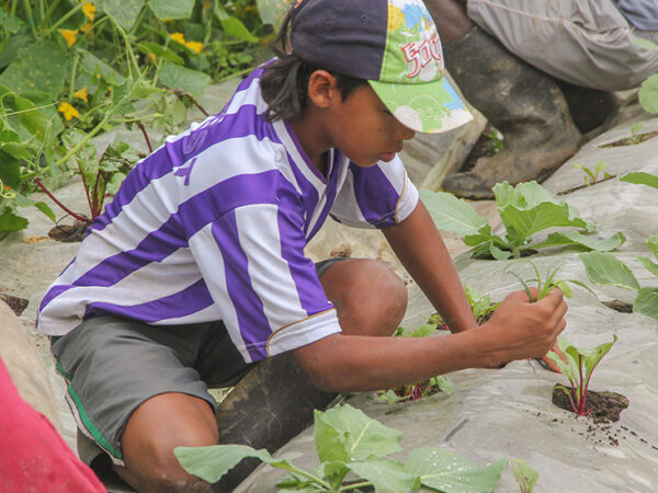 Formación medioambiental y empoderamiento juvenil en Portachuelo (Bolivia)