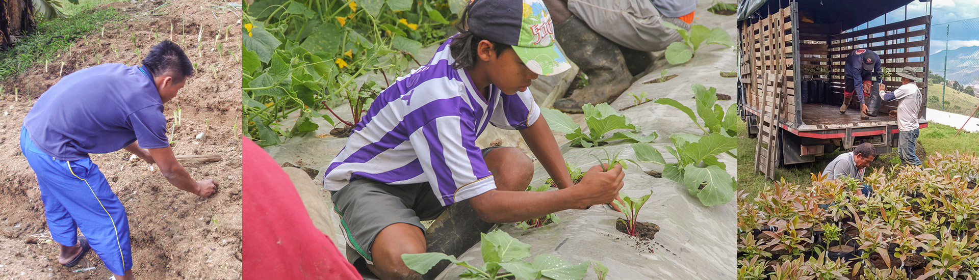 Formación medioambiental y empoderamiento juvenil en Portachuelo (Bolivia)